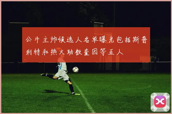公牛主帅候选人名单曝光包括斯普利特和热火助教奎因等五人