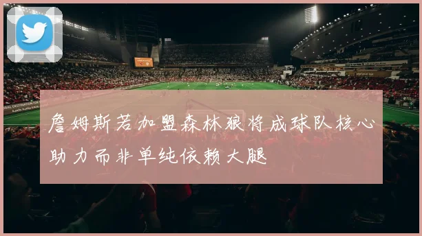 詹姆斯若加盟森林狼将成球队核心助力而非单纯依赖大腿