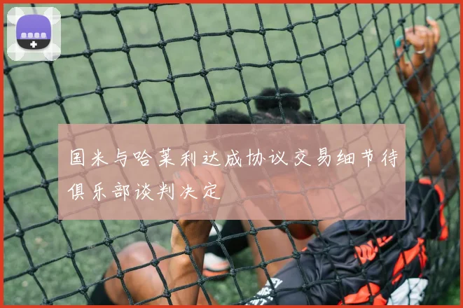 国米与哈莱利达成协议交易细节待俱乐部谈判决定