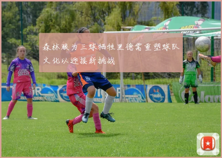 森林狼为三球牺牲里德需重塑球队文化以迎接新挑战