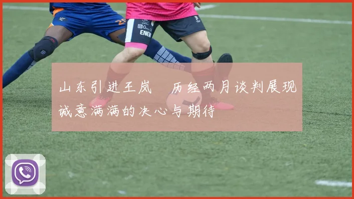 山东引进王岚嵚历经两月谈判展现诚意满满的决心与期待
